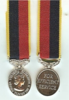 Territorial Efficiency Medal Queen